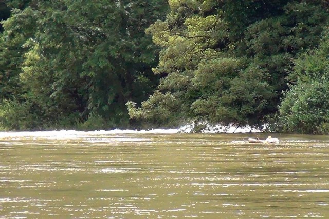 Hochwasser Doubs